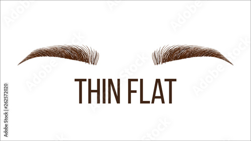 Thick Flat Brow Shape Vector Web Banner Template. Female Rounded Brow Style, Type Isolated Clipart. Microblading Master Salon, Beautician Parlor. Beauty Industry. Women Eyebrows Realistic Illustration
