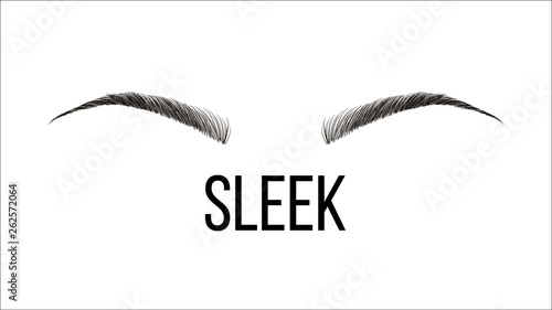 Sleek, Rounded Vector Hand Drawn Brows Shape. Female Brows Style With Title Isolated Clipart. Microblading Master Business Card. Beauty Industry. Natural, Permanent Eyebrows Realistic Illustration