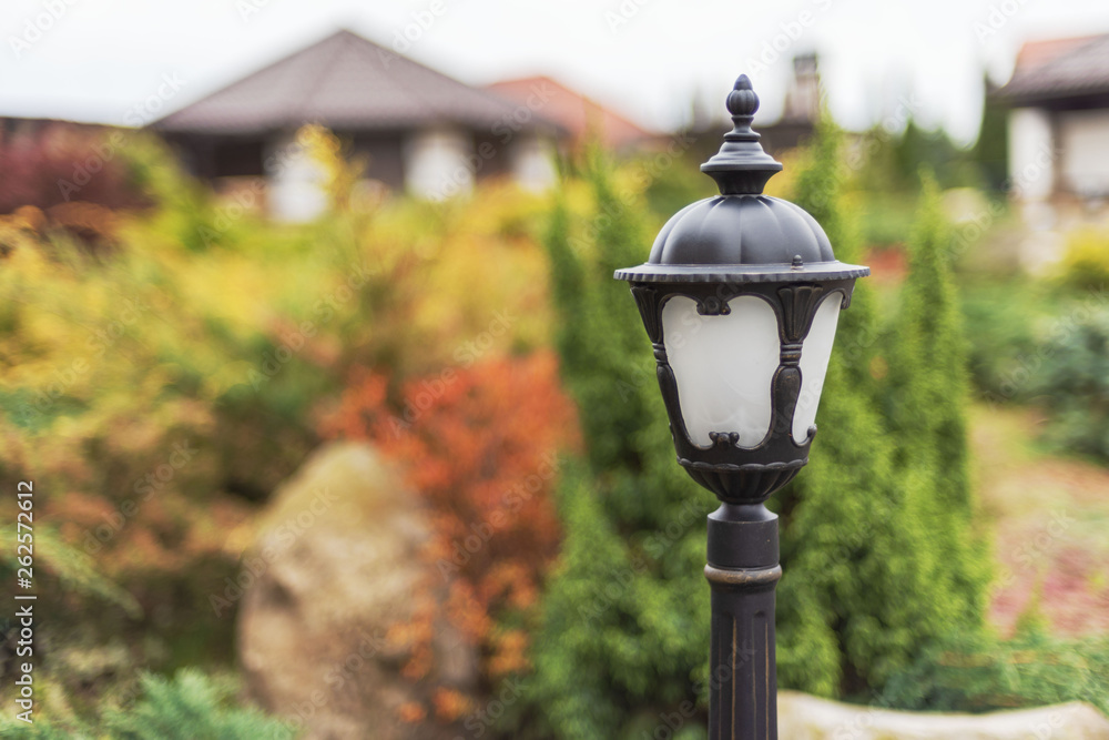 Forged street lights, for the testimony of a courtyard with landscape design with various ornamental plants and trees, and other street lighting on the private home.