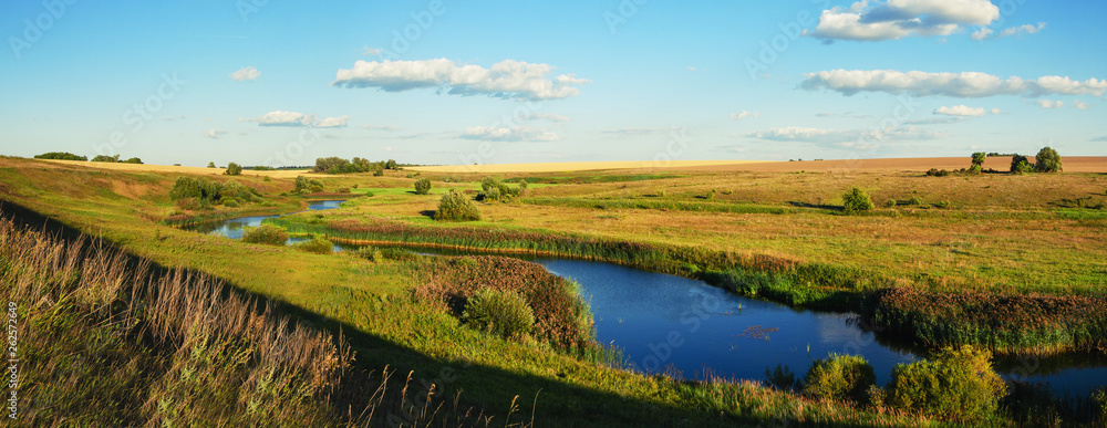 Sunny summer landscape with golden wheat fields,river and beautiful woods.