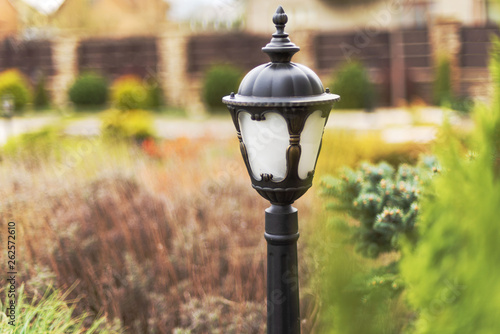 Forged street lights, for the testimony of a courtyard with landscape design with various ornamental plants and trees, and other street lighting on the private home.