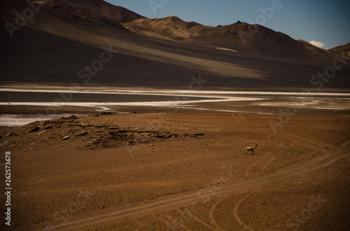 Travel to Atacama Desert