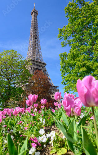 La Tour Eiffel avec des arbres et des fleurs en premier plan sur fond de ciel bleu