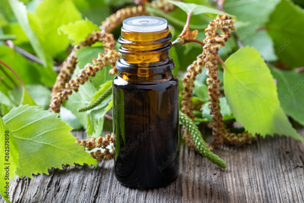 A bottle of birch essential oil with birch branches A bottle of birch essential oil with birch branches