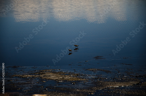 Travel to Atacama Desert