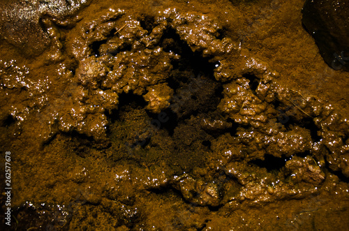 Travel to Atacama Desert