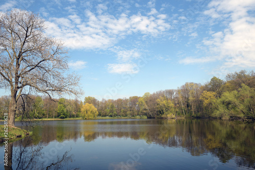 jungfernheidesee