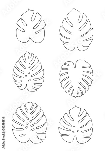Set with outline tropical Monstera