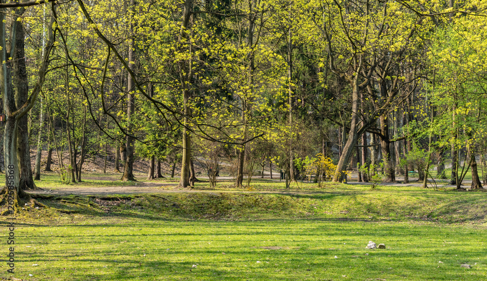 Obraz premium Bednarski Park in Krakow