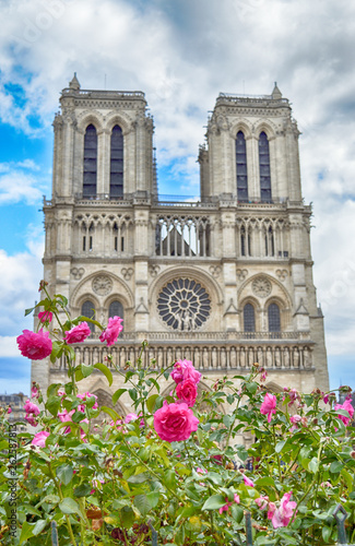 Flowers of Paris.