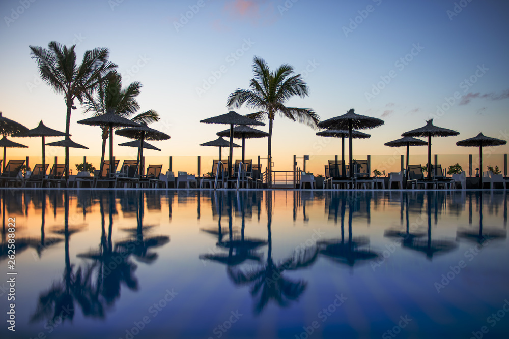 reflection of palm trees and umberllas in a swimming pool 