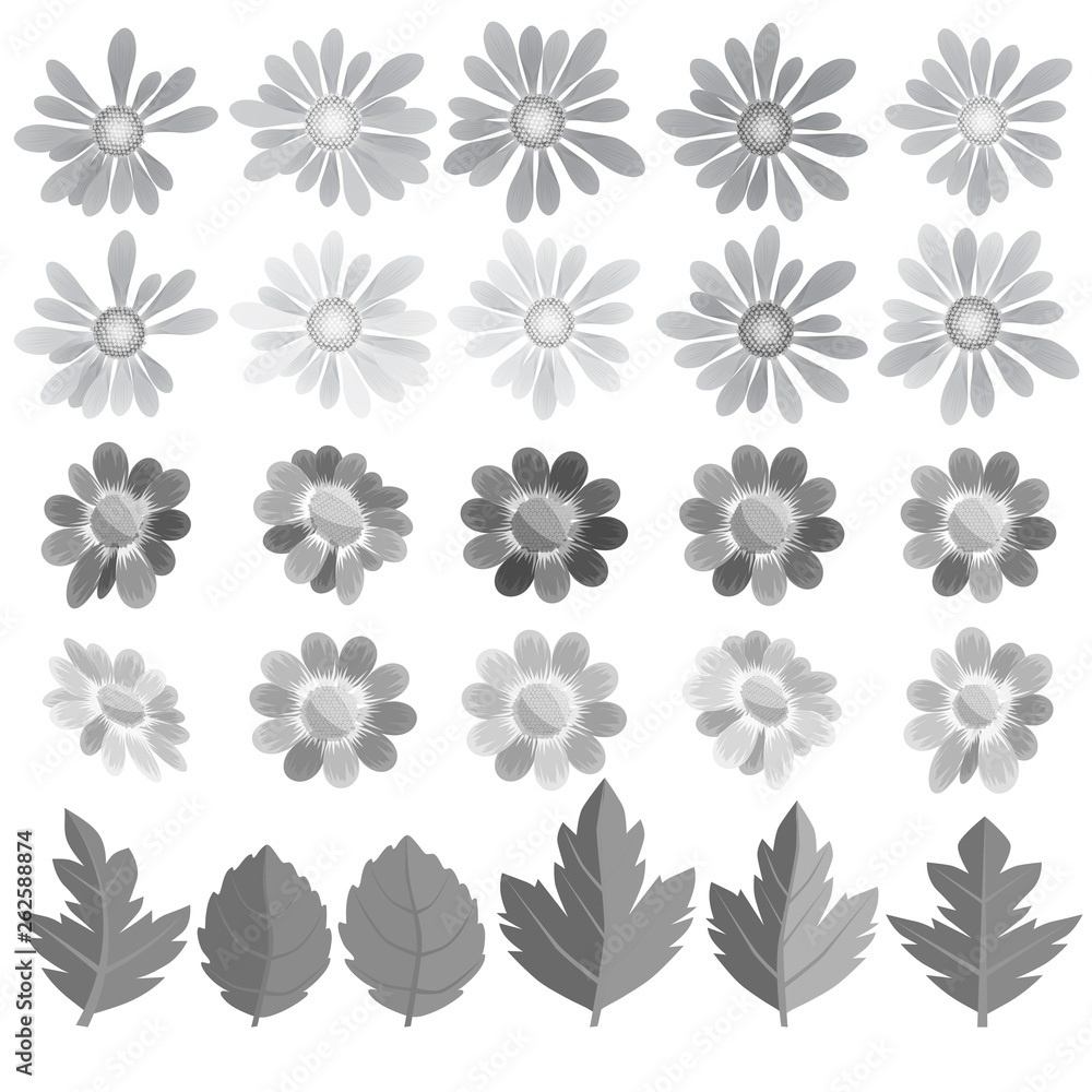 Flowers, leaves and butterflies in gray tone.