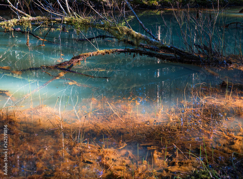 Fototapeta Naklejka Na Ścianę i Meble -  Colorful pond in a rainforest