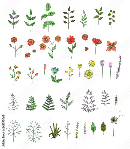 Vector set of colored flowers, herbs, plants. Bright and cheerful  pack of elements for natural design. Cartoon style