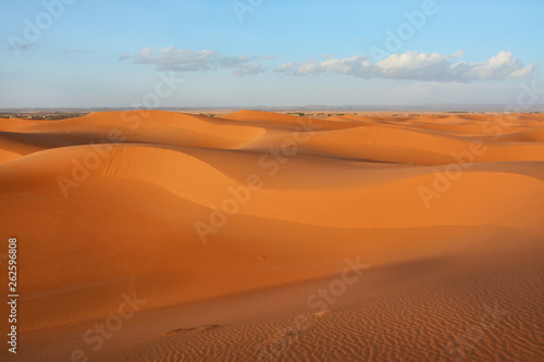 pustynia, Sahara Zachodnia, Maroko