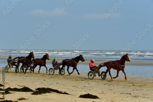 Foto Drivers et chevaux sur la plage