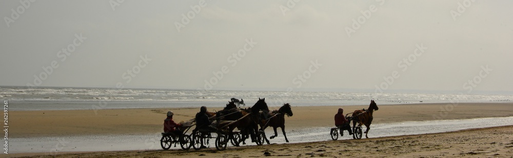 Drivers et chevaux sur la plage