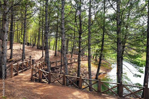 Camlik national park and lake, green pine forested hills, pinery at Yozgat city in Turkey