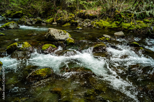 Rocky Brook flows out of the Olympic National Park near Dosewallips State Park in Washington s Olympic Peninsula