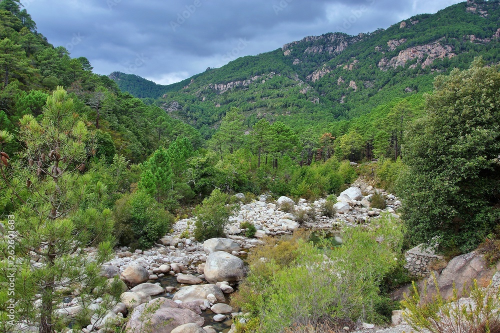 Corsica-river  Vacca