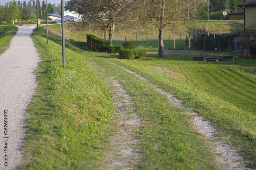 Obraz premium road path 