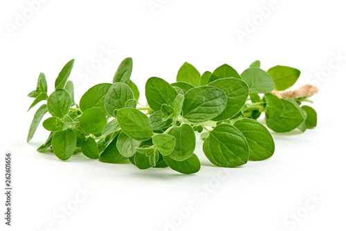 Fresh marjoram organic herb or oregano, close-up, isolated on white background
