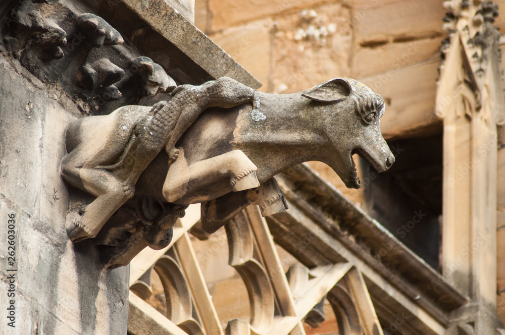 closeup of gargoyles on Colmar cathedral in France
