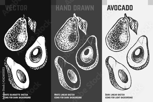 Hand drawn avocado. Fruits sketch vector set