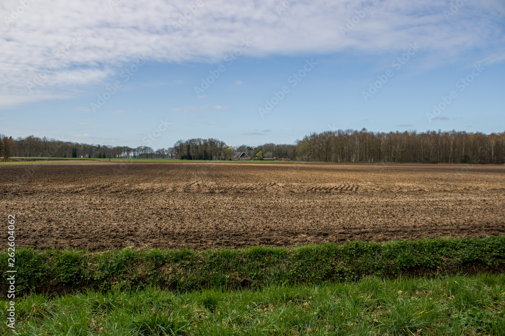 Arable land in Spring