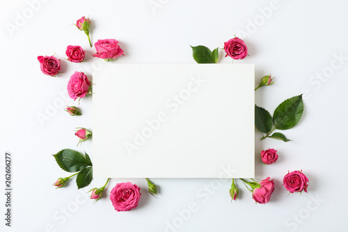 Beautiful pink roses and square with space for text on white background