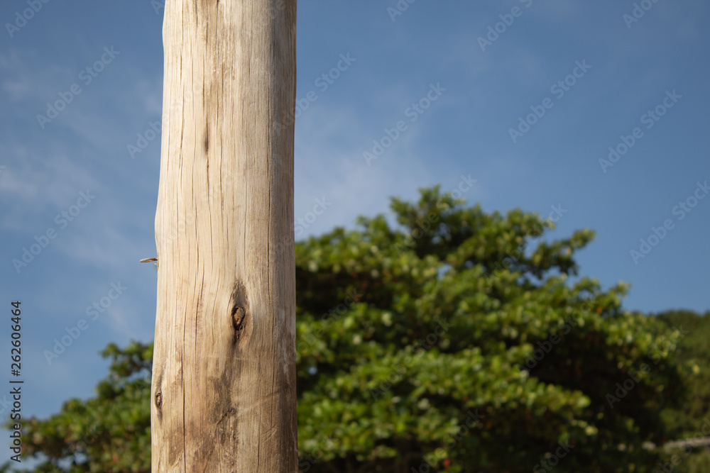 Fototapeta premium Vôlei 2