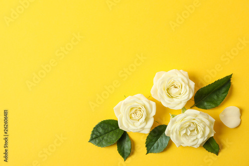 Beautiful white roses on yellow background  space for text