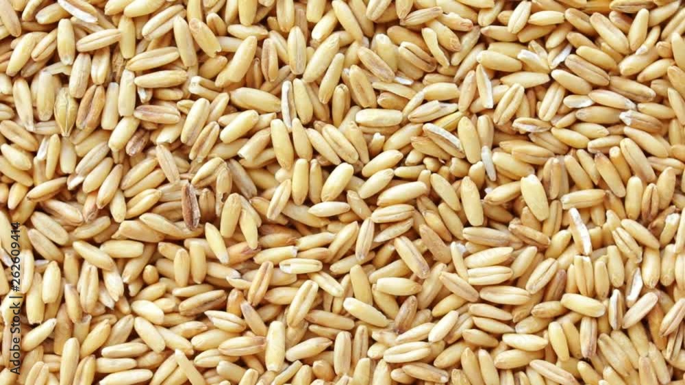 Rotating background with oat grains, seeds close-up view, top view. Rotating background with oat grains, seeds close-up view, top view.
