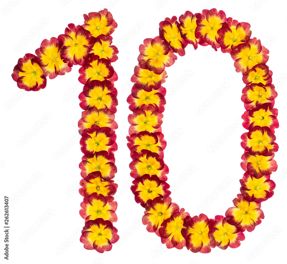 Numeral 10, ten, from natural flowers of primula, isolated on white background