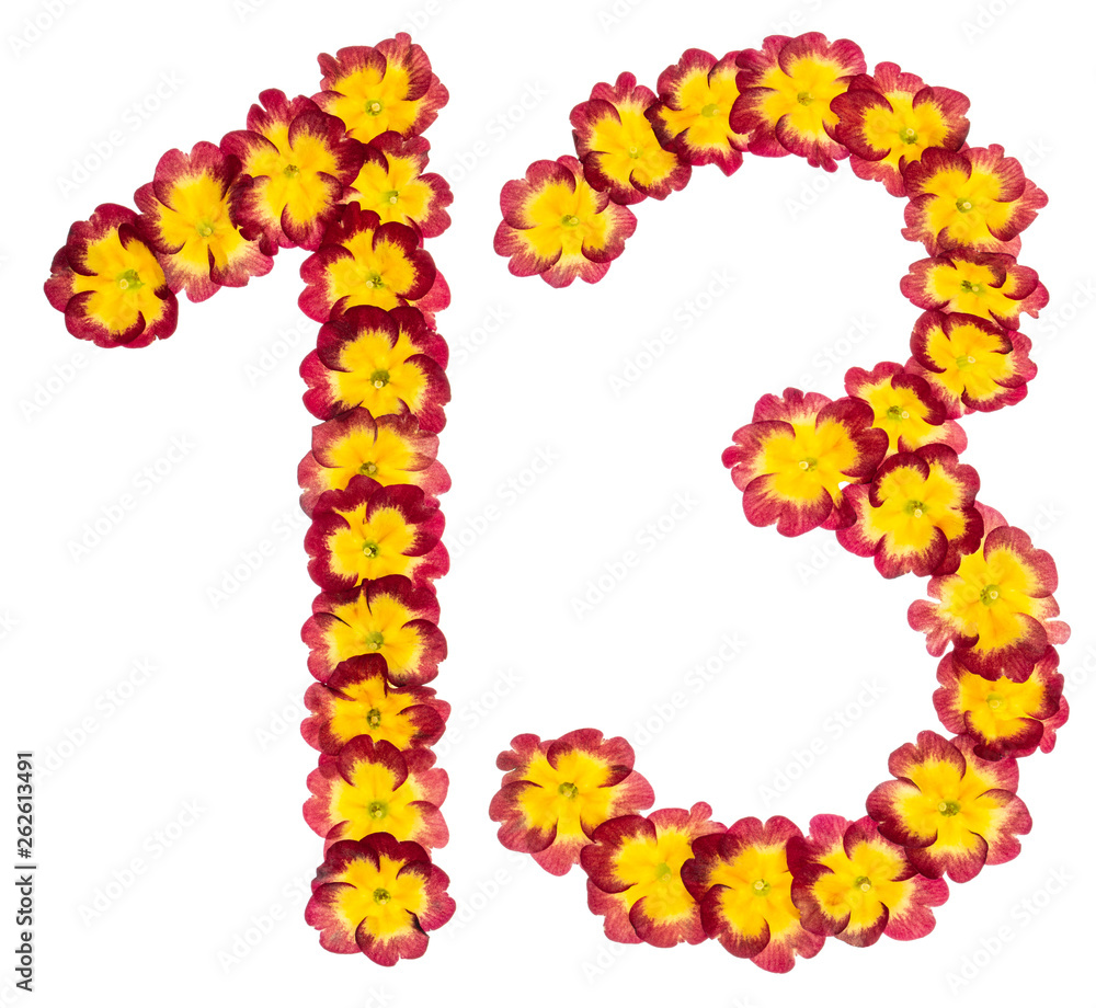 Numeral 13, thirteen, from natural flowers of primula, isolated on white background Numeral 13, thirteen, from natural flowers of primula, isolated on white background