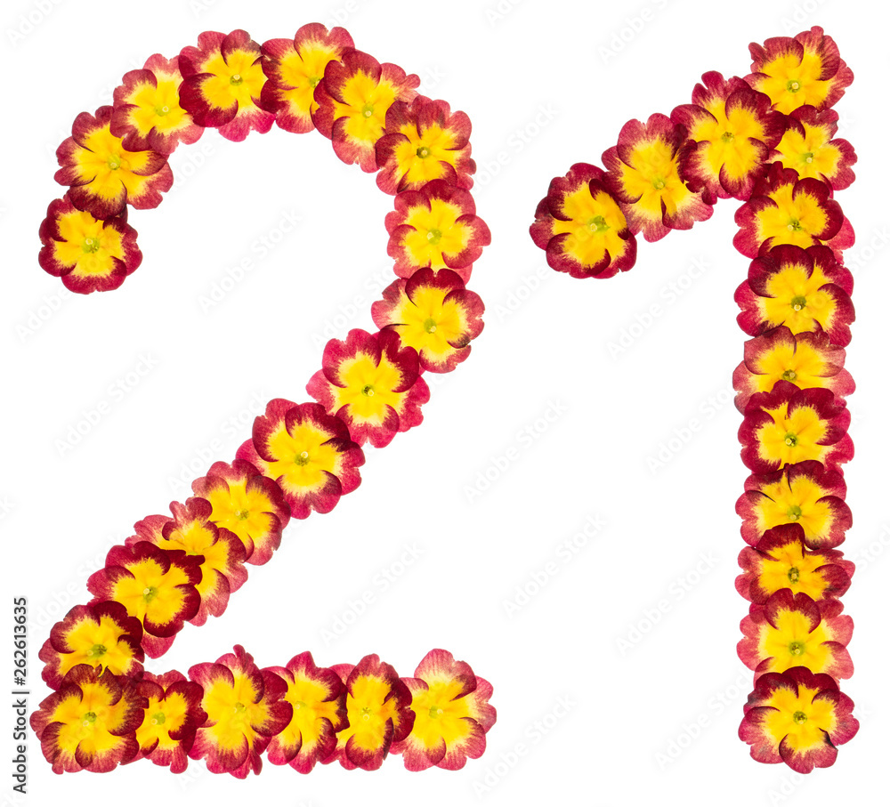 Numeral 21, twenty one, from natural flowers of primula, isolated on white background Numeral 21, twenty one, from natural flowers of primula, isolated on white background