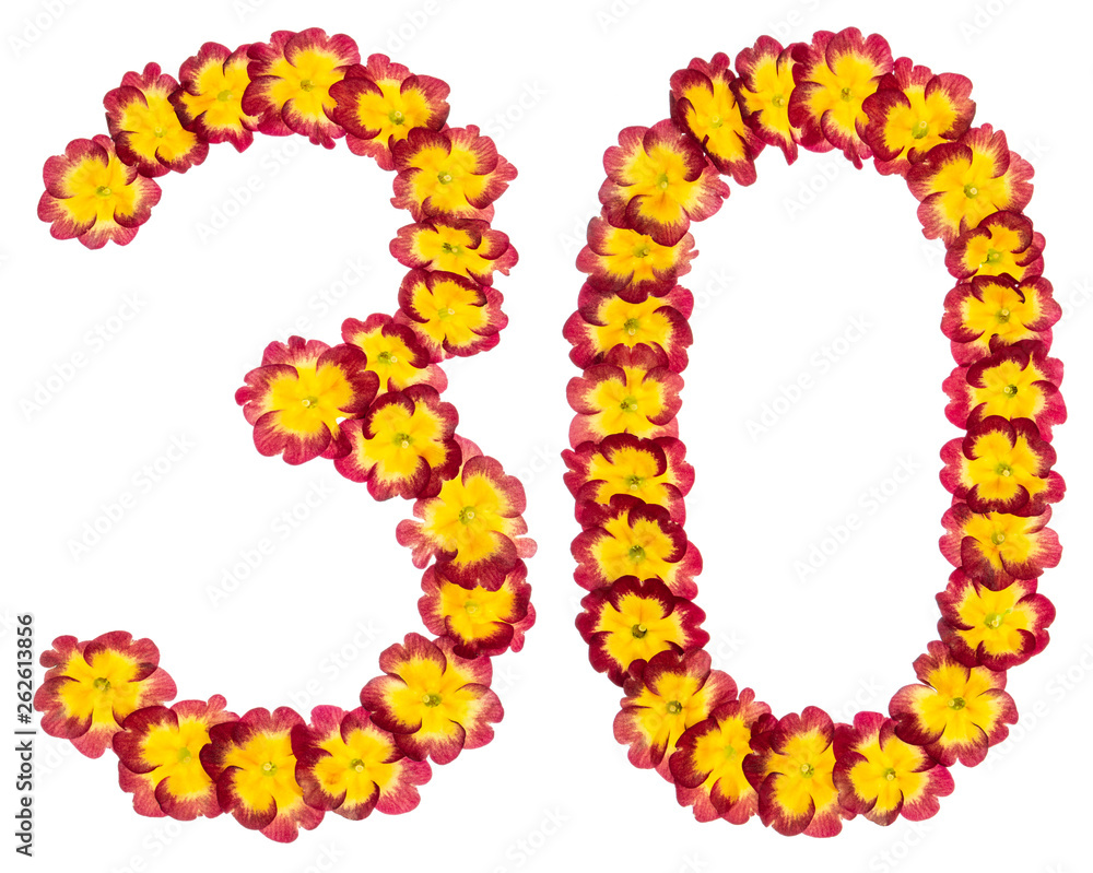 Numeral 30, thirty, from natural flowers of primula, isolated on white background