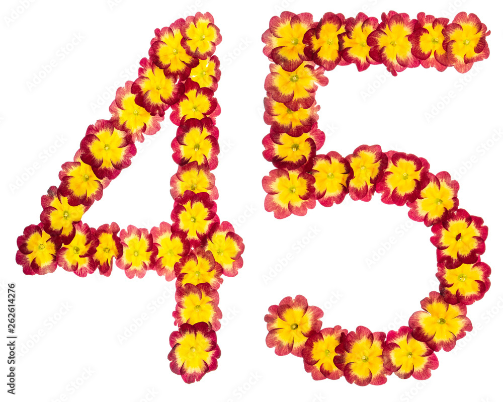 Numeral 45, forty five, from natural flowers of primula, isolated on white background