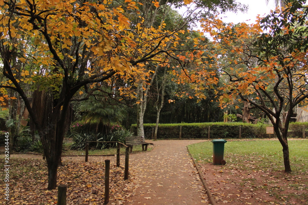Naklejka premium autumn in the ecological park.