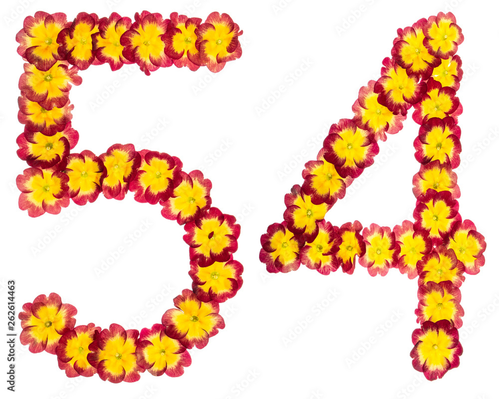 Numeral 54, fifty four, from natural flowers of primula, isolated on white background Numeral 54, fifty four, from natural flowers of primula, isolated on white background