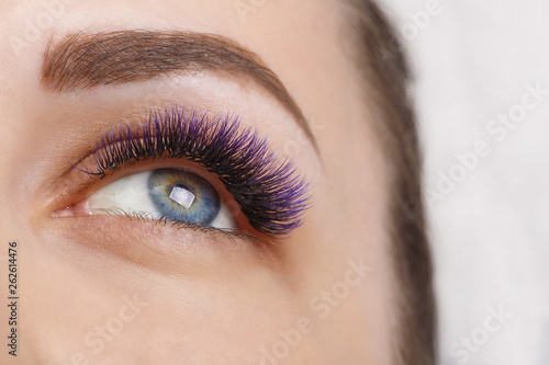 Fototapeta Naklejka Na Ścianę i Meble -  Eyelash Extension Procedure. Woman Eye with Long Blue Eyelashes. Ombre effect. Close up, selective focus.