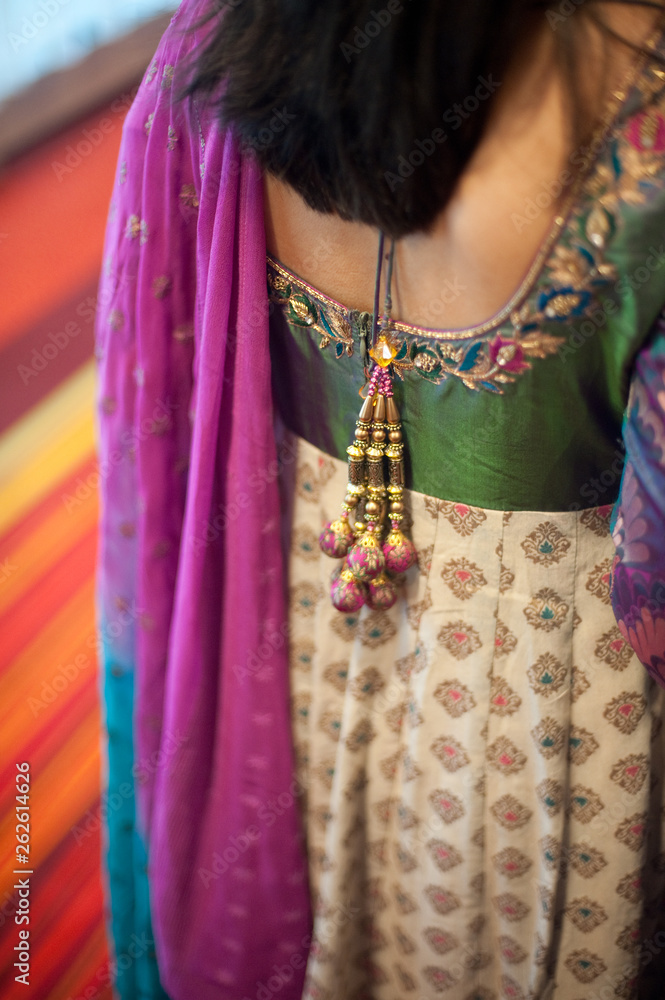 Woman in Traditional Indian Sari