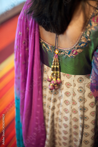 Woman in Traditional Indian Sari