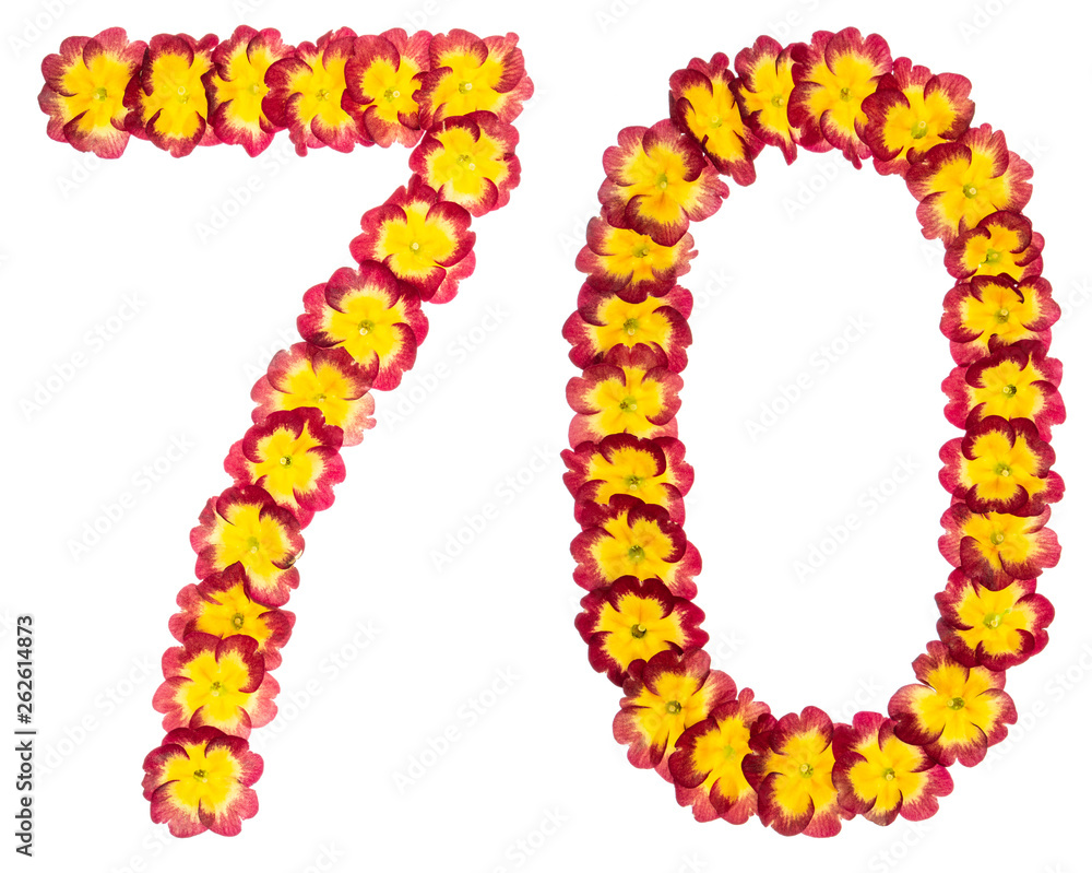 Numeral 70, seventy, from natural flowers of primula, isolated on white background