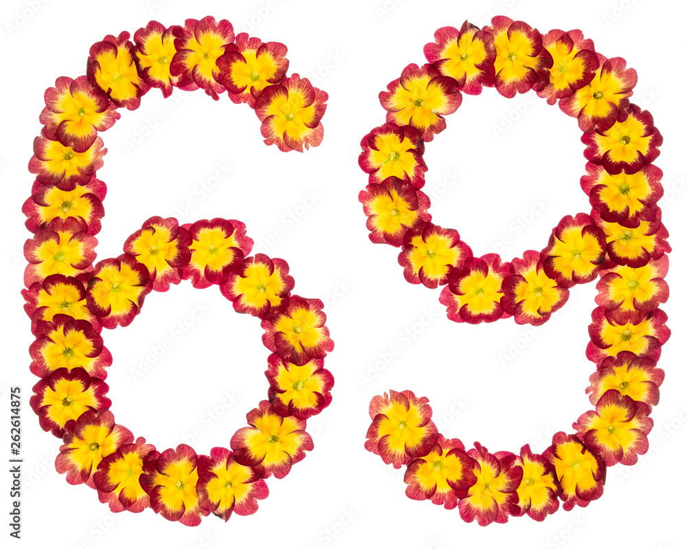 Numeral 69, sixty nine, from natural flowers of primula, isolated on white background