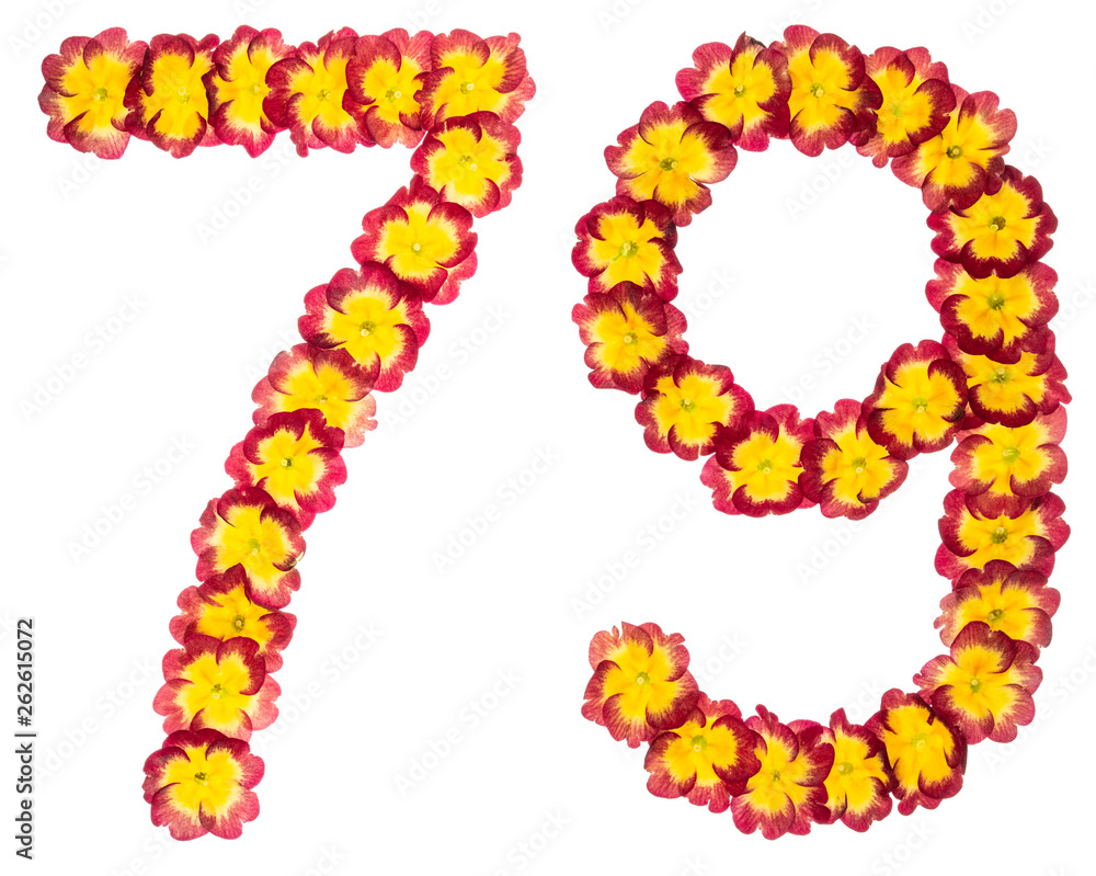 Numeral 79, seventy nine, from natural flowers of primula, isolated on white background