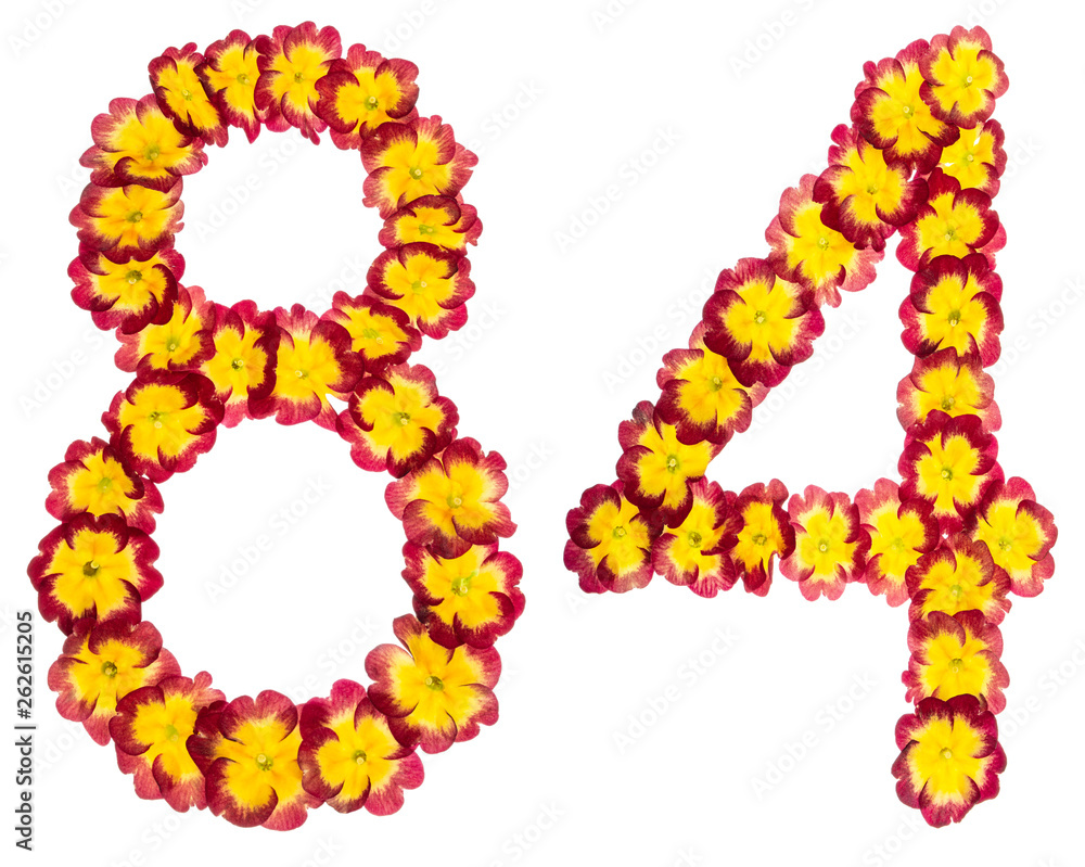 Numeral 84, eighty four, from natural flowers of primula, isolated on white background