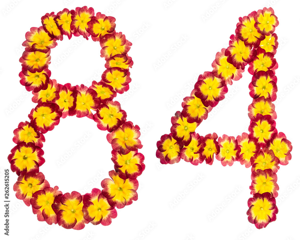 Numeral 84, eighty four, from natural flowers of primula, isolated on white background Numeral 84, eighty four, from natural flowers of primula, isolated on white background