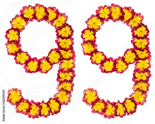 Numeral 99, ninety nine, from natural flowers of primula, isolated on white background