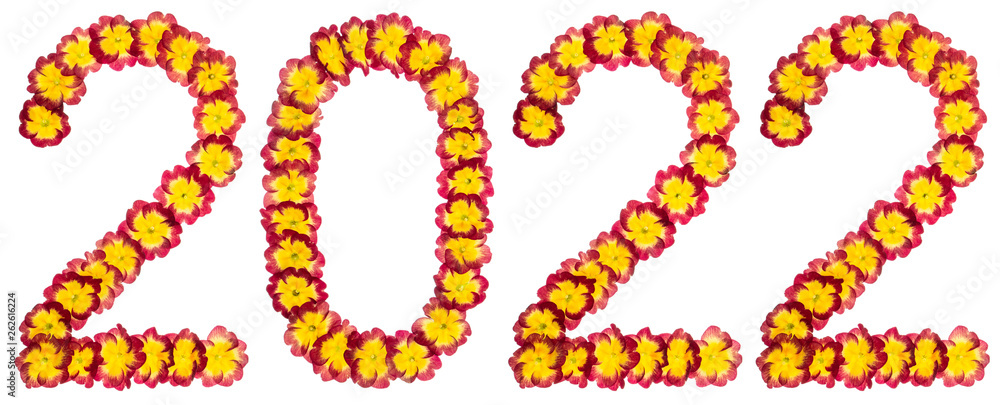 Inscription 2022, from natural flowers of primula, isolated on white background Inscription 2022, from natural flowers of primula, isolated on white background